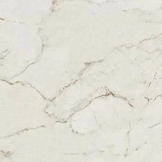 FAP Ceramiche Roma Gold Calacatta Delicato Brill 80x80 / Фап
 Керамиче Рома Голд Калакатта Деликато Брилл 80x80 